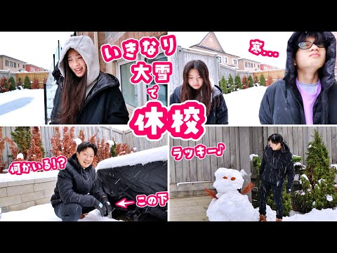 A Vlog of the lucky day when school was closed due to a sudden heavy snowfall 🤗 Is there an anima...