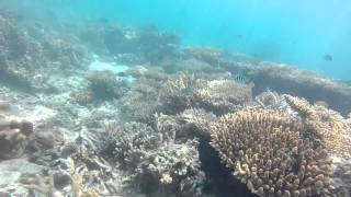 Outing 2015 Trailer