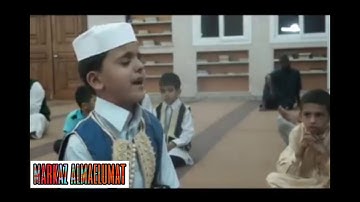 -مشاء الله طفل ليبي🇱🇾 ختم القران الكريم فلم يتحمل فبكى لله وسجد من الخشوع تبارك الله☝️🌿 #ليبيا