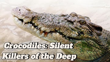 Crocodile Empire: The Ancient Predator’s Secrets of Power and Survival | ZappyZapp