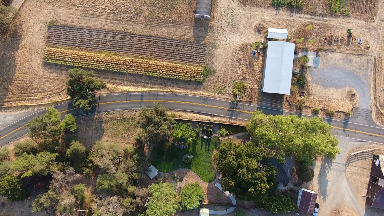 Keyaki Tree at Wakamatsu Farm YouTube