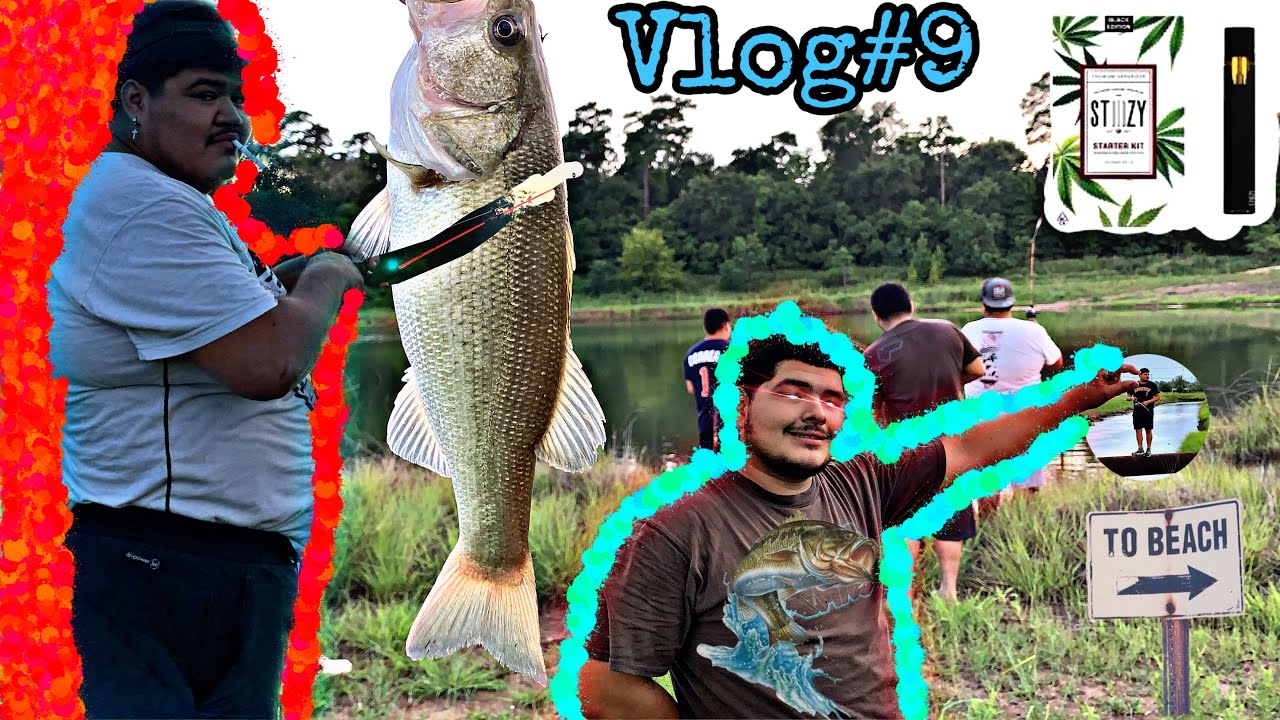 bass fishing vlog#9