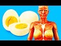 10 ASTONISHING FACTS ABOUT YOUR BODY