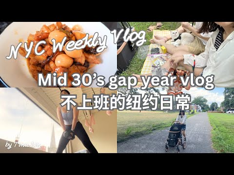 丁克的自由人生｜纽约躺平Vlog｜煮红烧肉·运动日常·带猫猫野餐·纽约超市物价｜Mid 30’s Gap Year Vlog