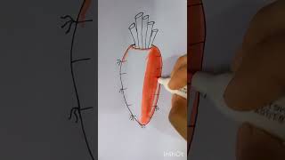 How To Draw A Corrot