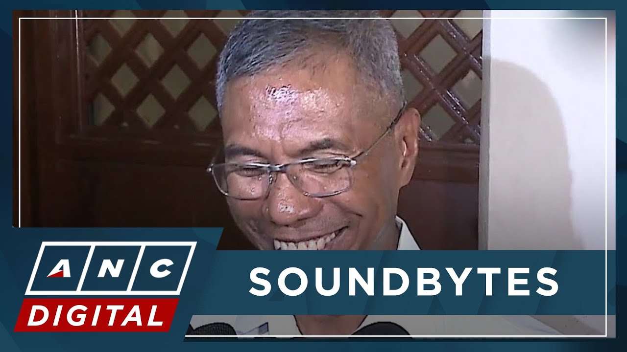 Torre says he still support Marcos even after removal as PNP chief | ANC