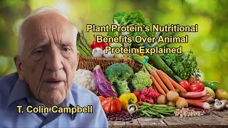 Plant Proteins Nutritional Benefits Over Animal Protein Explained