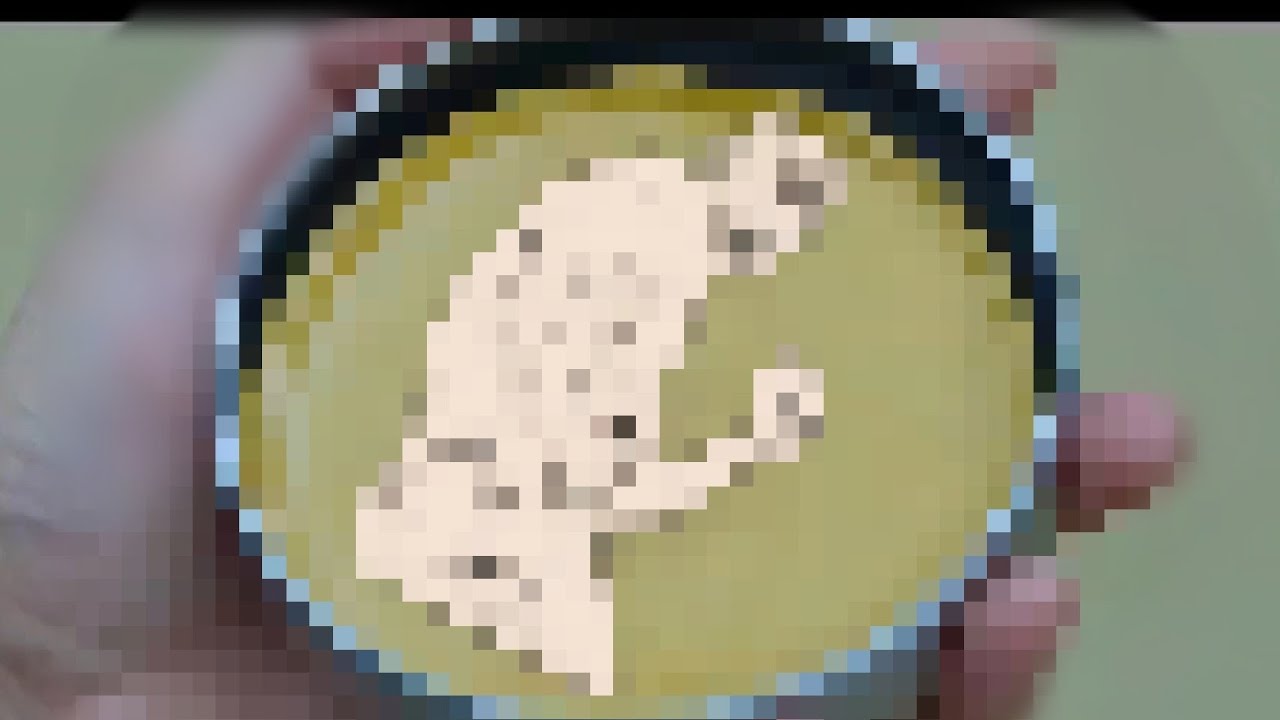 Squid Game Honeycomb Meme YouTube