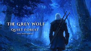 The Grey Wolf Quiet Forest | Soft Fantasy Medieval Music for Focus screenshot 4
