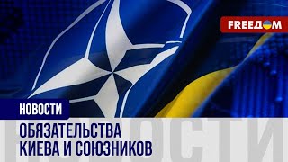Украинский план вступления в НАТО: разбор