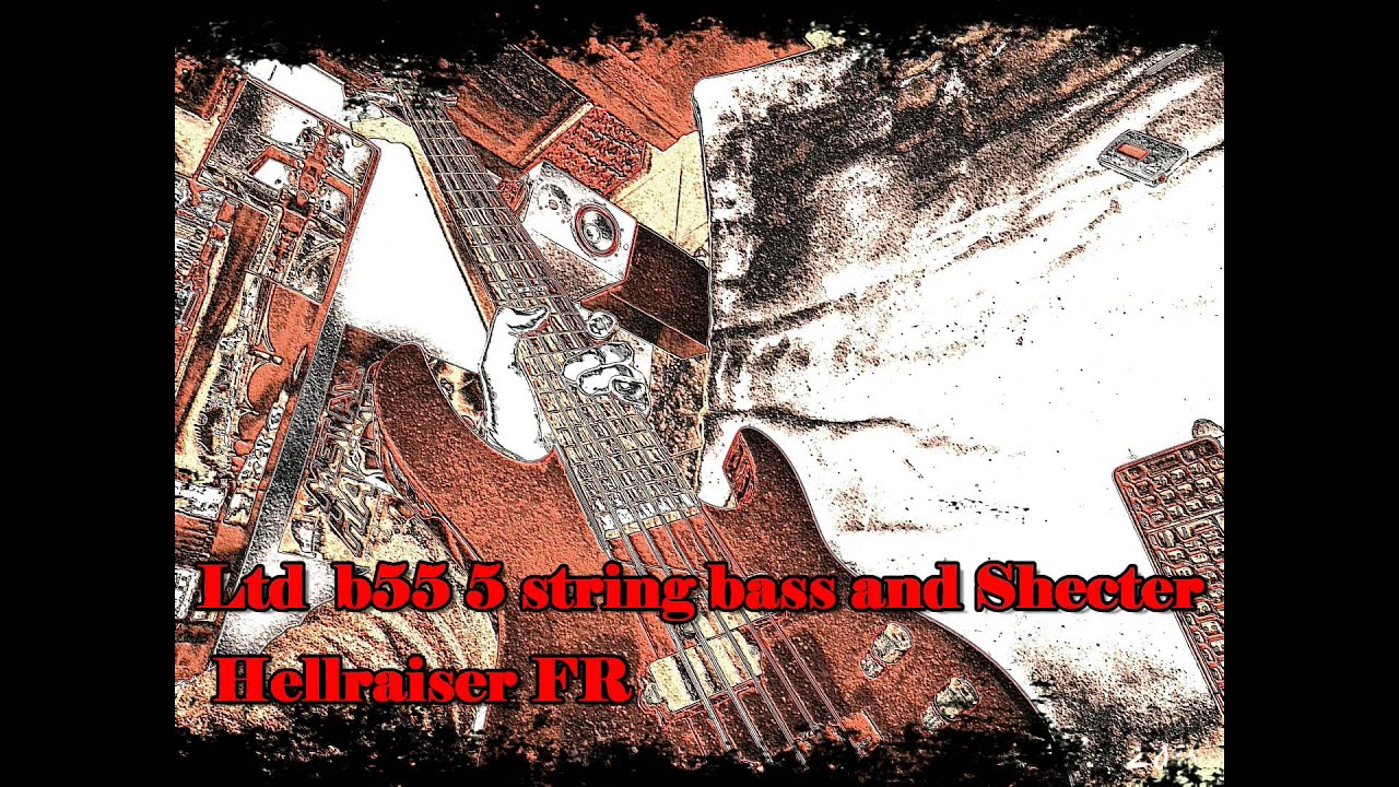 ltd b 55 5 string bass+Schecter Hellraiser FR doom