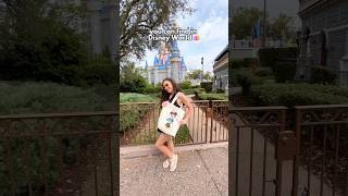 The Most UNIQUE Souvenirs in Magic Kingdom 🏰