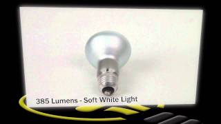 Philips R20 Reflector Flood