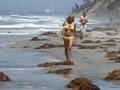 Swimsuit Bikini Model Chelsey at Moonlight Beach #2