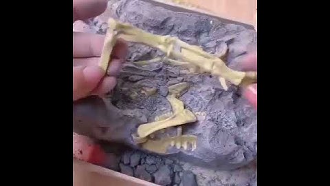 Dinosaur Fossil Digging Kit