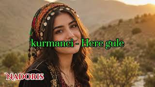 kurmanci - Here Gule  كرمانجي أجمل ورده kurdish trend music #viral #trending #Kurmanji #kurdishsong