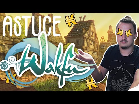 DÉBUTER WAKFU SANS AUCUNE GALÈRE !