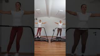 Pro ski simulator training in duo