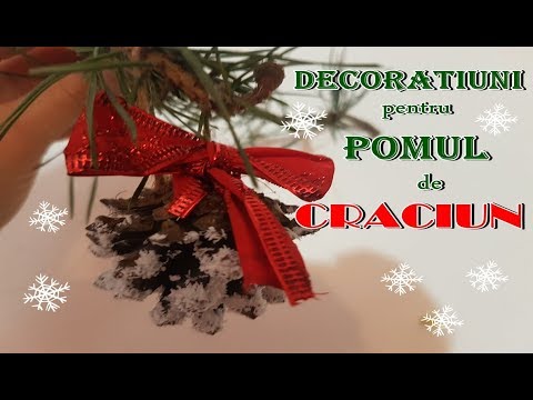 Video: Cum Să Decorați Un Pom De Crăciun Folosind Feng Shui