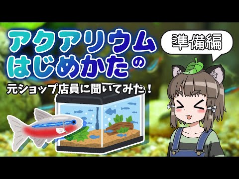 アクアリウムの始め方 ～機材準備編～｜元熱帯魚ショップ店員さんに聞いてみた！（前編）