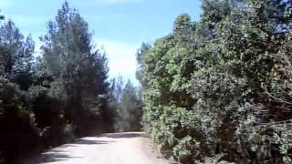 Max Midge Cow Mountain (Pt. 2)