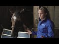Life After Racing - Last Stage & Atmospheric