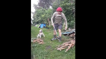 Thumbnail of " Bread and Butter " Harmonica20240825Short1  #shortsvideo