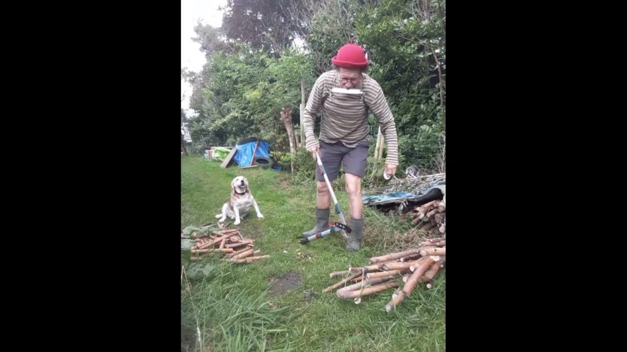 " Bread and Butter " Harmonica20240825Short1  #shortsvideo