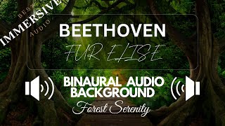 Beethoven's Für Elise: Binaural Nature Soundscape | Relaxing Study Music with Forest Ambience