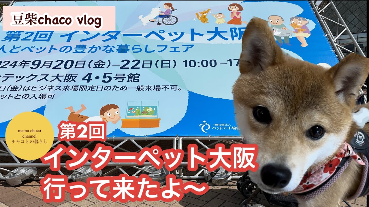 Interpet 2024 Osaka] Great satisfaction with tastings, shopping