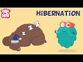 The Secrets of Hibernation in Animals