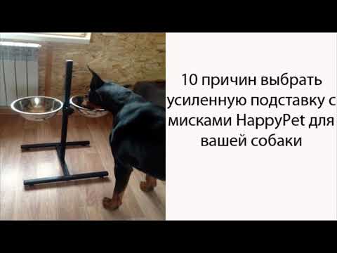 Подставки с мисками