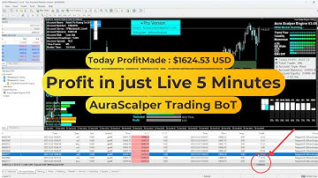 AI Forex Trading Robot Live – Smart Algorithm Making Money in Real Time #trading #forex #trader