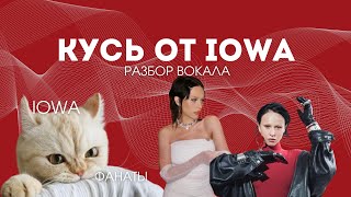 IOWA - КУСЬ | Разбор песни, реакция