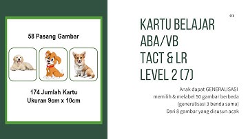FLASHCARD ABA/VB Tact & Listener Responding Level 2 (7) (@lyolearningchannel)