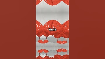 Your Brain Can Predict the Future 🧠🔮 #short #mindfacts