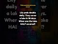 Think carefully before you answer | Math Challenge