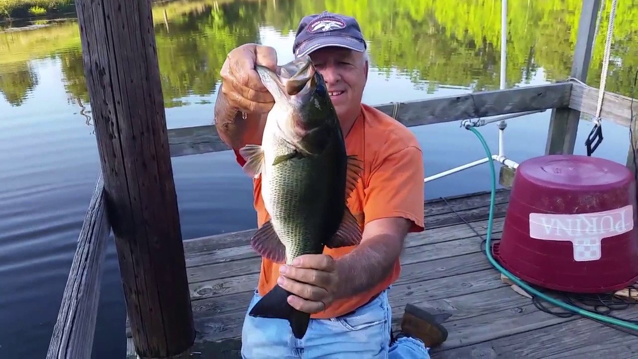 Man Catches Fish by Hand YouTube