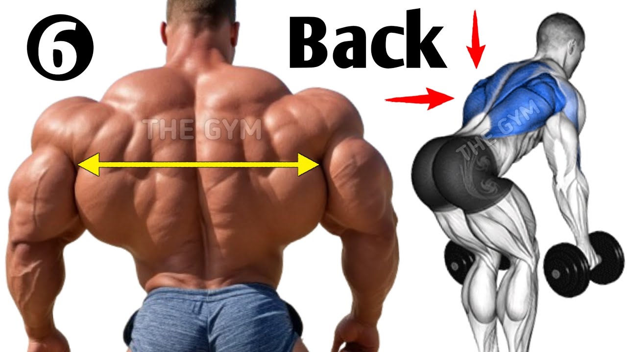 6 Best Back Workout for Mass & Definition - YouTube