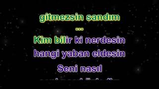 Ercan Turgut -Dönemezsin Sen - (Karaoke) Resimi