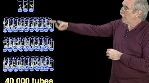 Eric Wieschaus (Princeton/HHMI): Finding Genes that Control Development
