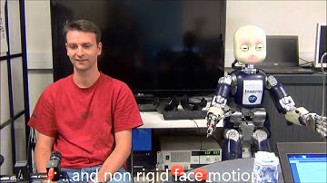 Real-time control of the iCub robot to study damping head movements