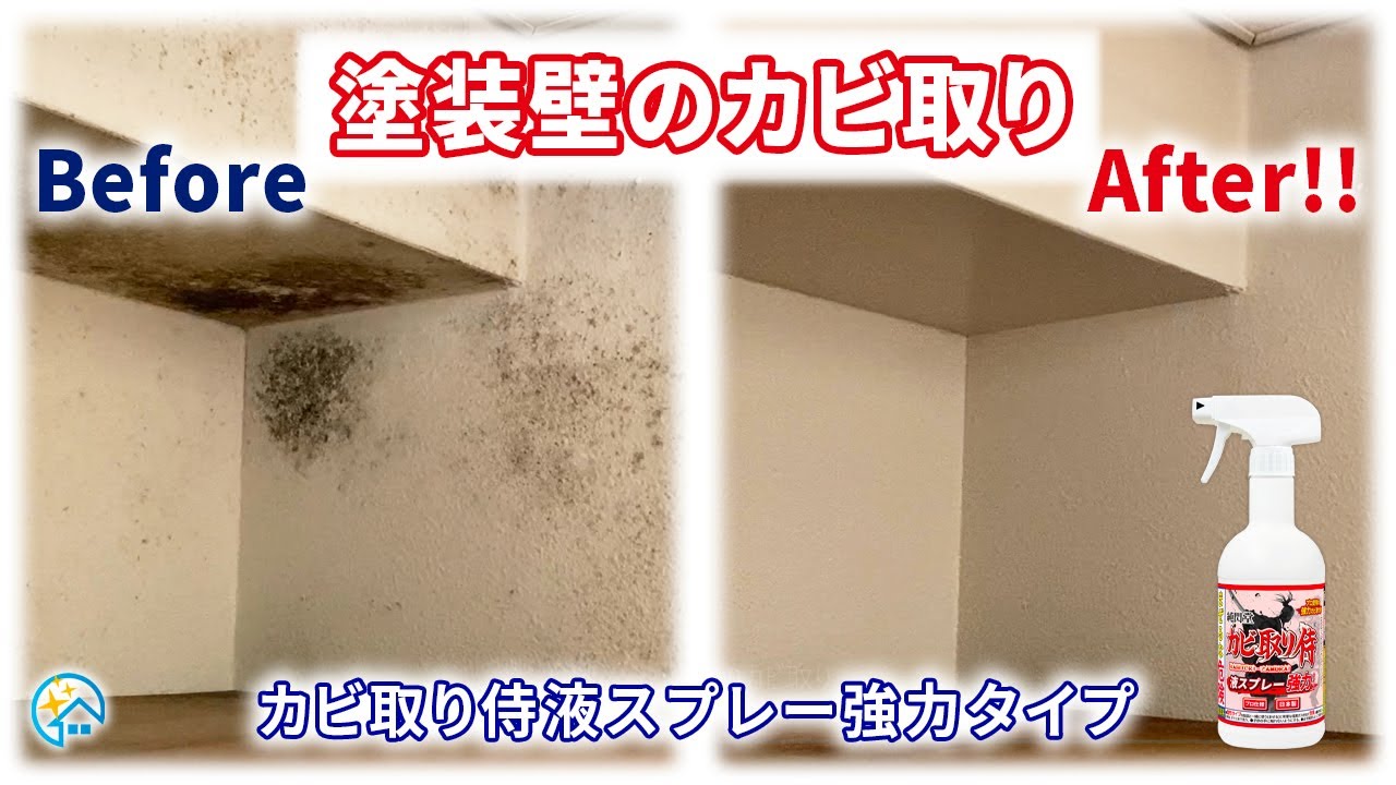 壁 の カビ 落とし 方