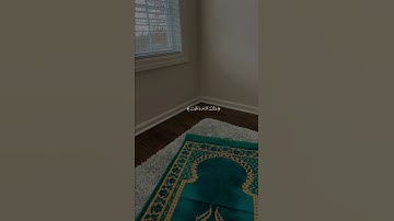 القرآ الكريم ||سورة النصر ||بصوت القارئ سلمان العتيبي ||القرآن 🌸🤍||