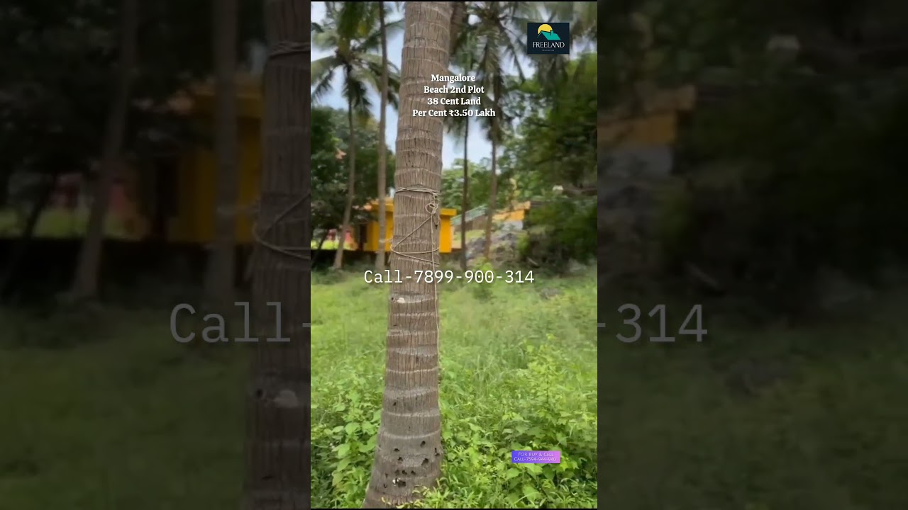 38 Cent Beautiful land On Beach 2 nd plot for Sale | Mangalore | Karnataka 