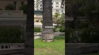 monaco monaco looggadalltheboats