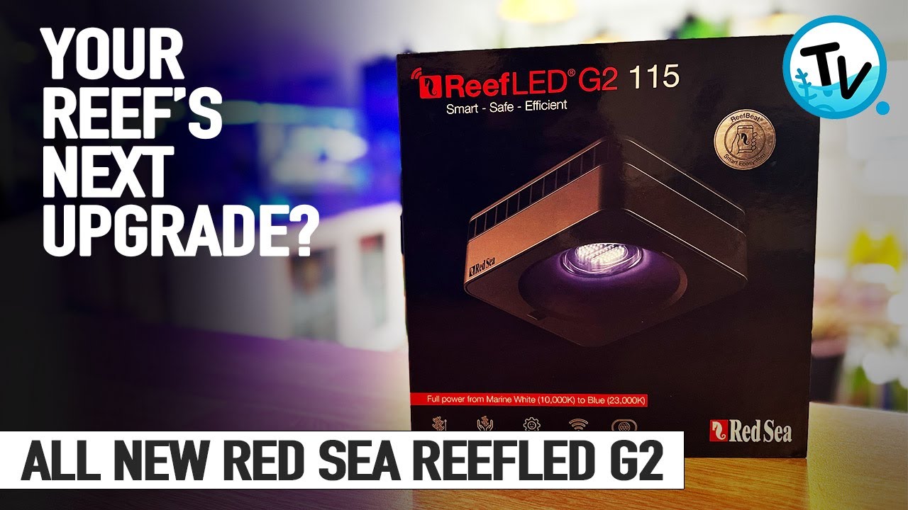 Red Sea ReefLED G2: Should this be your next Reef Upgrade? - YouTube