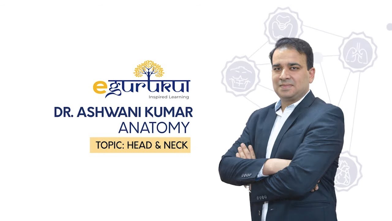 Head and Neck (quick recap) | Anatomy by Dr. Ashwani Kumar | Dr. Bhatia videos | DBMCI |