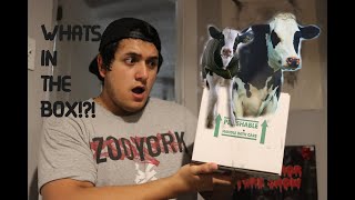 Celebrity Baby Cow Reticulated Python Unboxing - NERD Shipment 📦🐮 Profile