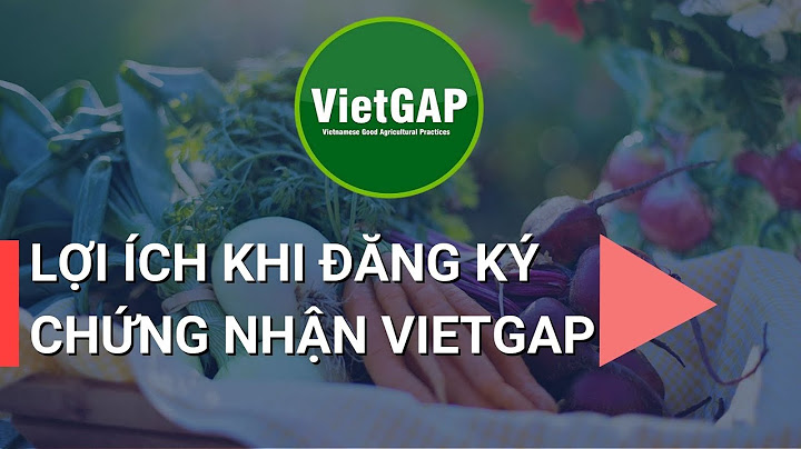 So sánh tiêu chuẩn vietgap với những tiêu chuẩn khác năm 2024